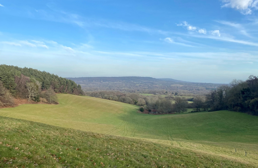 Surrey Hills Landscape 