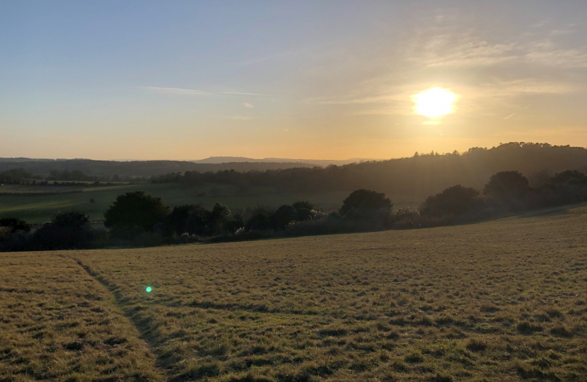 Surrey Hills Landscape