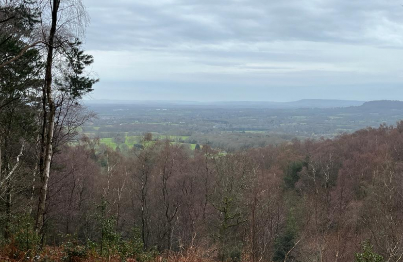 Surrey Hills National Landscape.