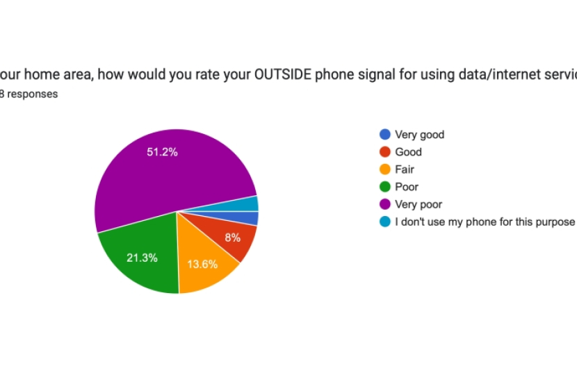 Mobile Phone Survey Results