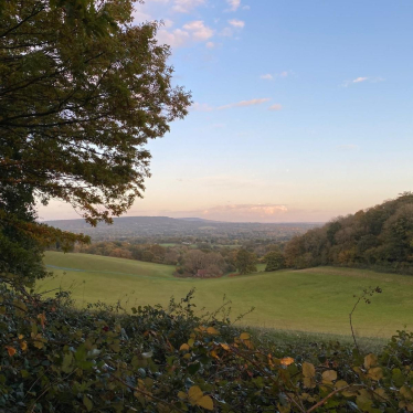 Surrey Hills National Park 